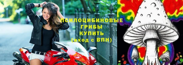 MESCALINE Аркадак