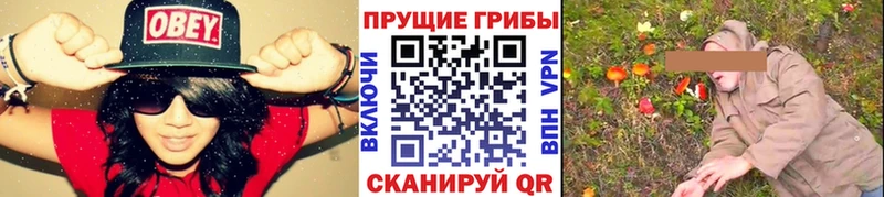 Галлюциногенные грибы ЛСД  купить  сайты  Балей 