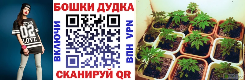 Бошки Шишки White Widow Балей